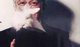 董洁卓伟爆料视频大全最新,揭秘娱乐圈背后的真相与争议