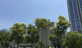 盐城碧桂园爆料案件最新,揭秘背后惊人真相